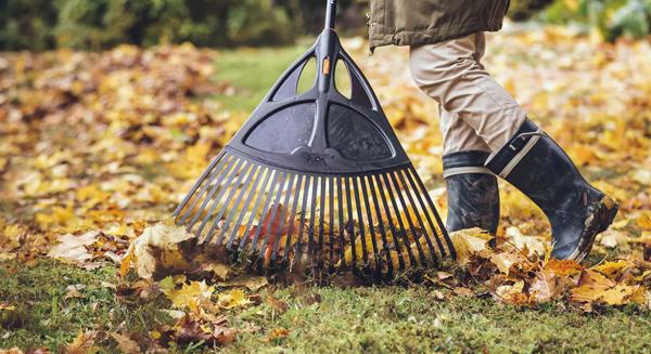Ötletek a lehullott falevelek felhasználásához