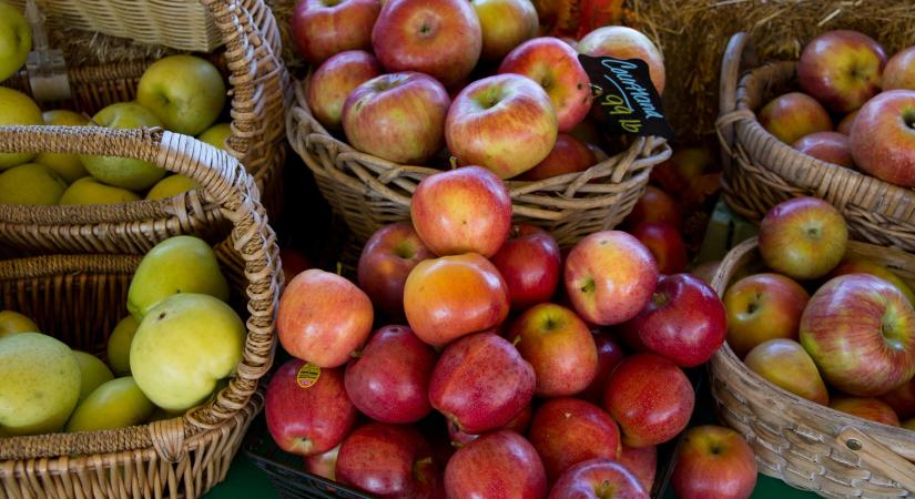 Melyik a legegészségesebb almafajta?