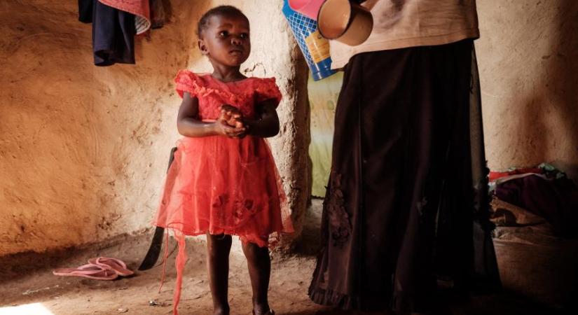 Kamerunban megkezdődött a világ első malária elleni oltási kampánya