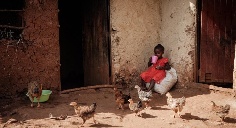 Ingyenes oltási program indul a malária ellen Kamerunban