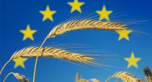 Román szövetség: az elégedetlen gazdálkodók megbéníthatják az uniós intézményeket