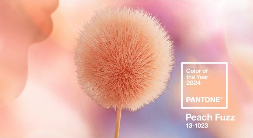 A Peach Fuzz a gondoskodás múzsája – Ismerjük meg 2024 színét!