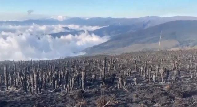 Erdőtüzek: rendkívüli állapotot hirdettek Kolumbiában