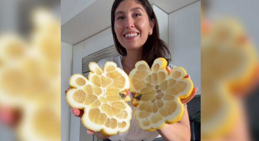 Elképesztő citrom nőtt egy kaliforniai nő fáján - videó