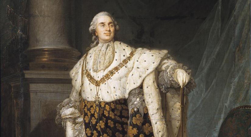 XVI. Lajos francia király vérének DNS-vizsgálatának eredménye