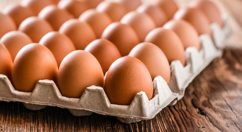 25 százalékkal csökkent a csontos csirkemell ára, a tojásé pedig 18 százalékkal