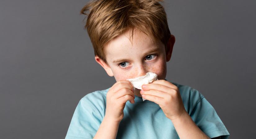 Szénanáthából asztma? Így lehet megelőzni a gyerekeknél