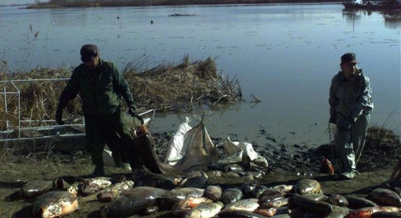 24 éve történt a gyalázatos ciánszennyezés a Tiszán