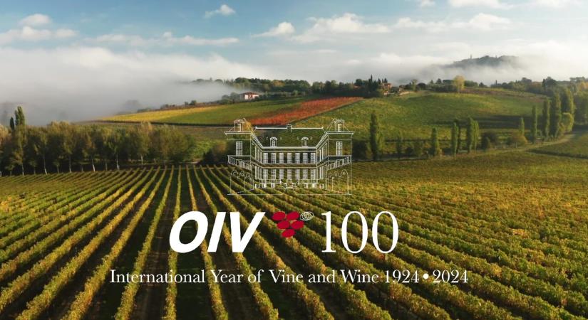 OIV: egy évszázad a szőlő-bor ágazatért