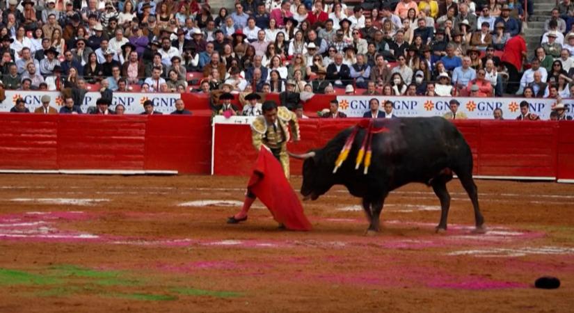 Újra rendeznek bikaviadalokat Mexikóban