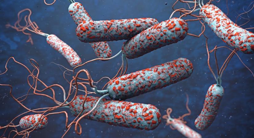 Kolerajárvány Tanzániában: több mint hatvan fertőzött három nap alatt