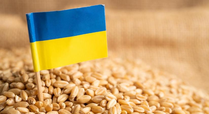 Közel 40 ezer kiló GMO-val szennyezett ukrán kukorica-vetőmagot foglalt le a NÉBIH