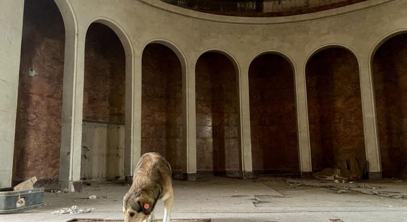 Feltárul az elhagyatott fürdőváros, ahol a kóbor kutyák az idegenvezetők