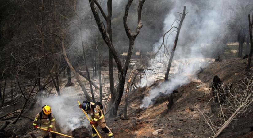 Már legkevesebb 64 halálos áldozata van a Chilében pusztító erdőtűznek