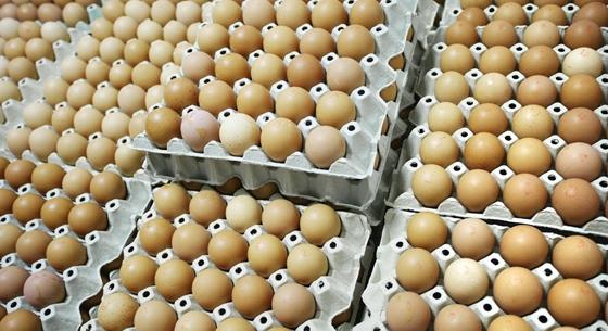 Budán kísérletezik a Spar, mit szólnak a vevők, ha nem kaphatnak ketreces tartásból származó tojást