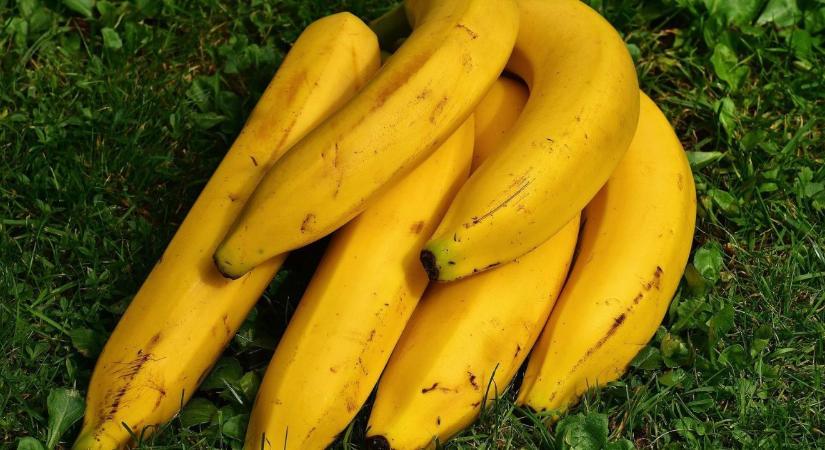 Oroszország banánháborút hirdetett Ecuadornak, miután az megígérte, hogy fegyvereket szállít Ukrajnának