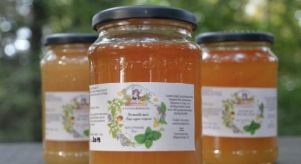 Új labortechnikai módszer segítheti a mézhamisítás hatékonyabb kiszűrését
