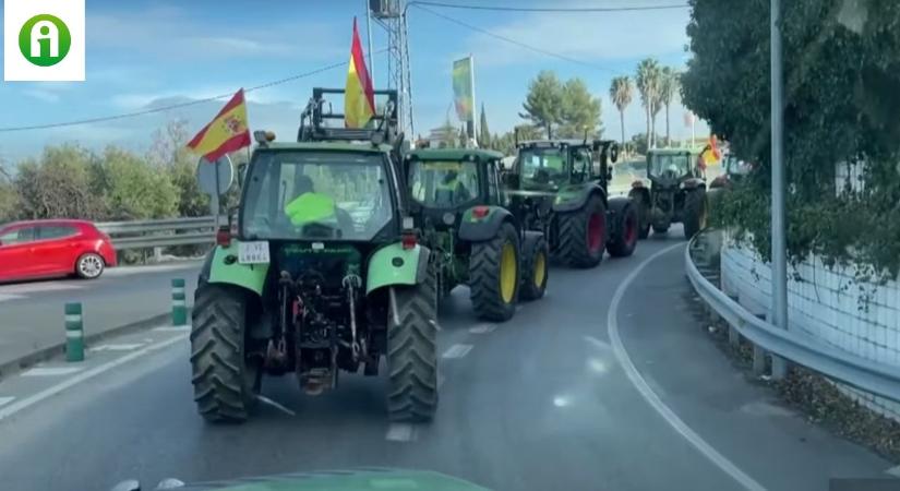 Hatalmas elszántsággal kezdték a tüntetéseket a spanyol gazdák