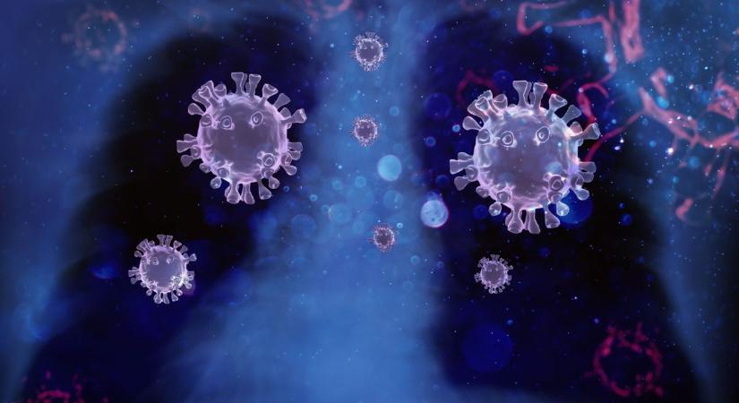 Növekszik az influenza örökítőanyag koncentrációja Egerben