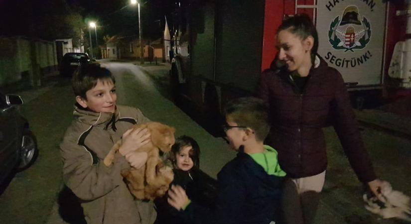 Bravúros macskamentés Majsán: tűzoltók hozták le a kéményről a jószágot – videóval