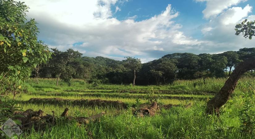 A poros utak drámaiságában zöldell Tanzánia