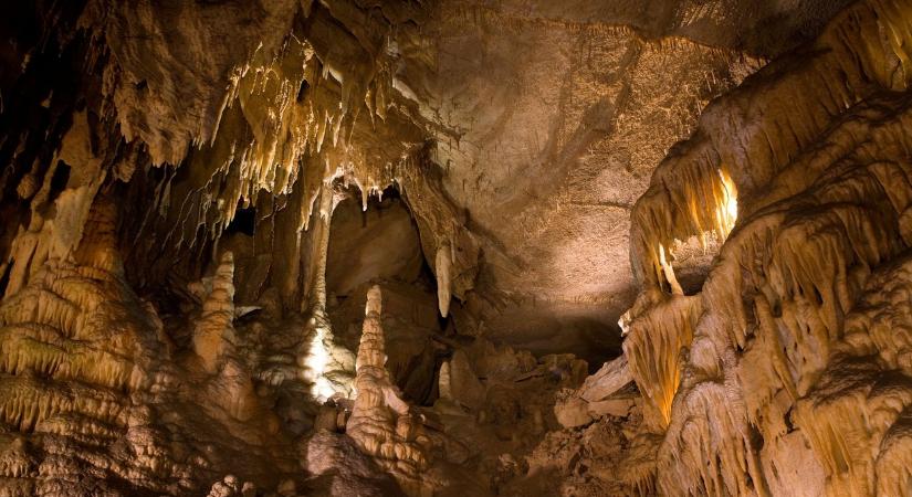 Lemerészkedtek a tudósok a világ legnagyobb barlangrendszerébe: rémisztő ősragadozópárt fedeztek fel
