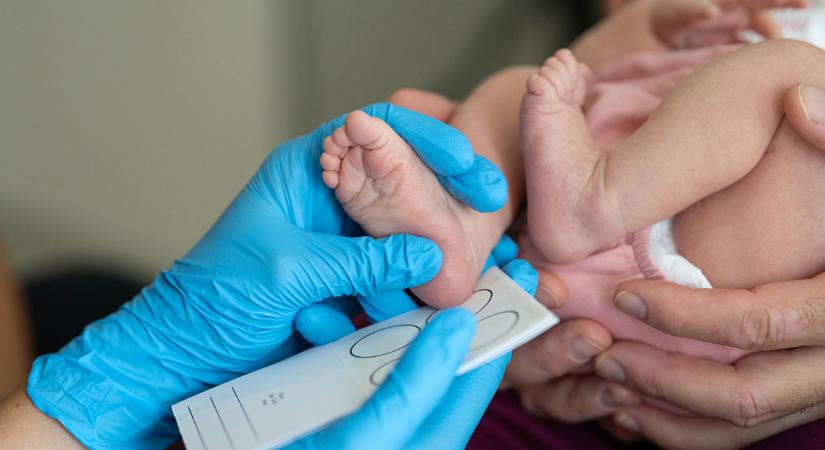 Újszülött kislányt tettek a kiskunhalasi kórház inkubátorába