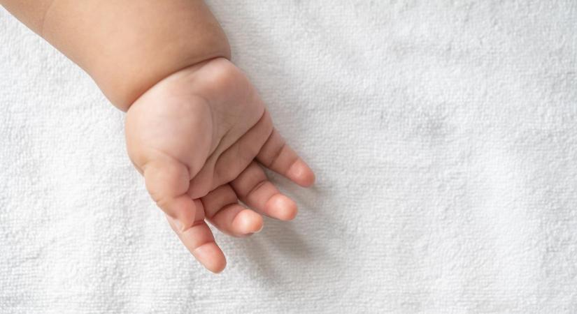 Újszülött csöpp kisbabát találtak a kiskunhalasi kórház inkubátorában – Cuki fotón a kis Zita