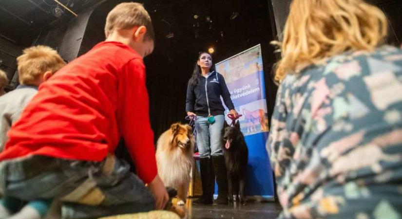 Gregor Bernadett két kutyájával jelent meg a Thália Színházban