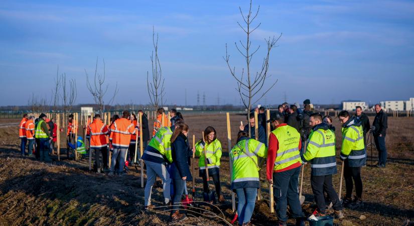 “Zöld folyosót” alakítanak ki – a fák és cserjék telepítése megkezdődött Debrecenben