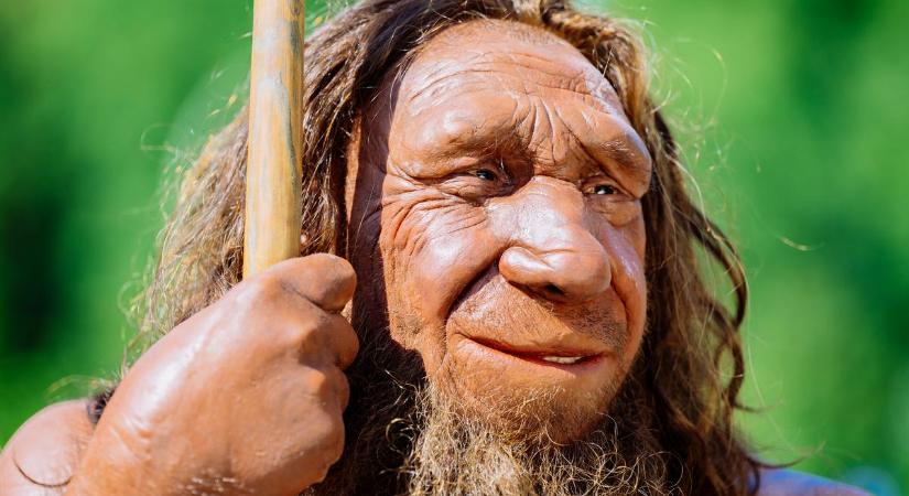 Ön mennyit tud a neandervölgyi emberről? Tesztelje tudását kvízünkkel