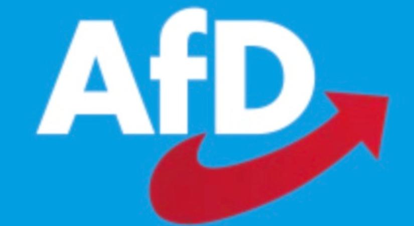 Az AfD nagyot nyert a Bundestag megismételt választásán