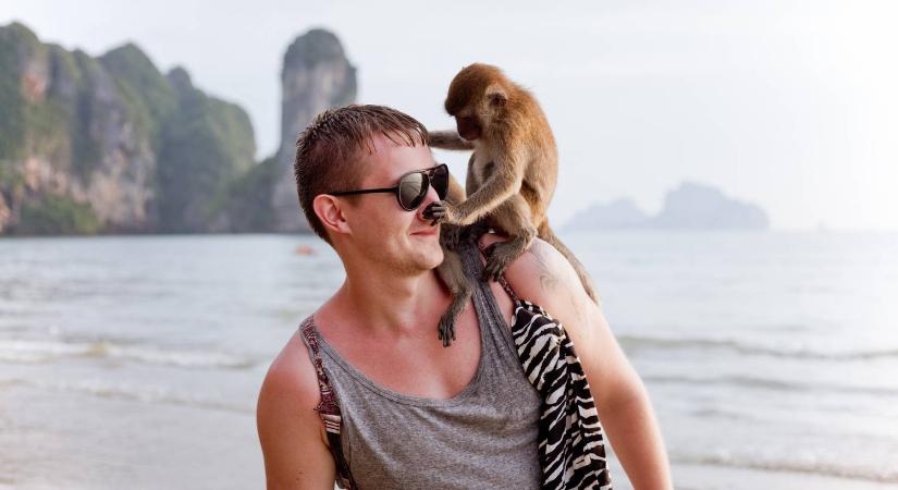 Majmok közösültek egy turista vállán – videó