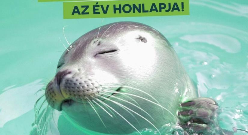 Az év honlapja minősítést kapott a Veszprémi Állatkert weboldala