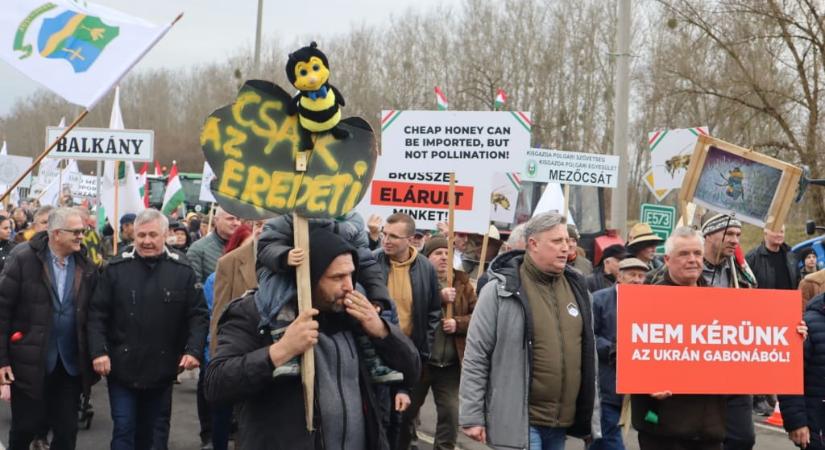 Méhészek és gazdák együtt demonstráltak Záhonyban: üzenet, mely mindannyiunkat érint