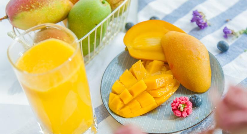 Így lesz egy mangómagból mangófácska