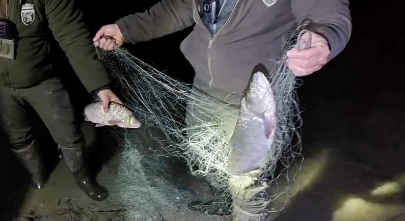 Orvhalászok akadtak fenn a vízirendőrök hálóján Abádszalóknál
