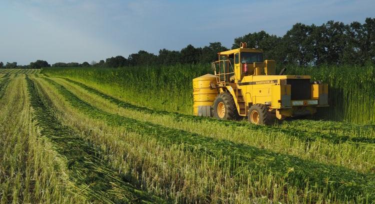 Mezőgazdasági szempontból a kender ideális alapanyag a bioműanyagokhoz