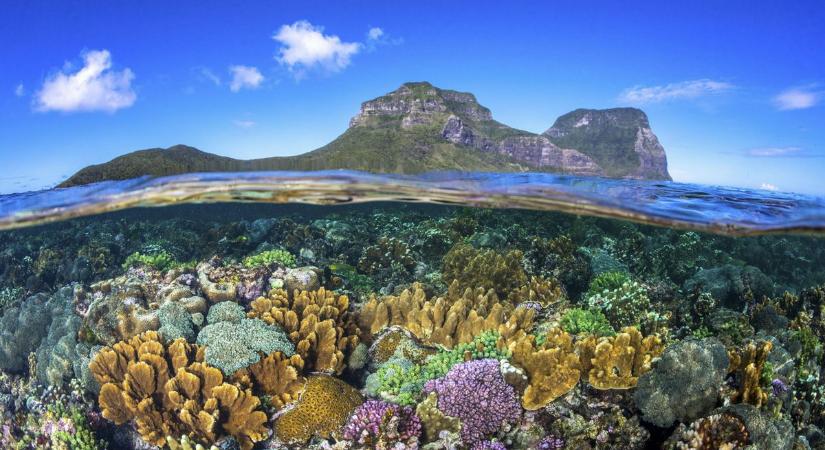 Meglepő helyeken fedeztek fel új korallzátonyokat