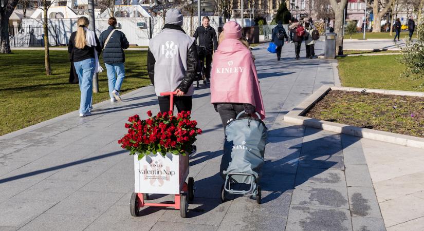 10 ezer párnak osztott vörös rózsát Valentin-nap alkalmából a Kinley