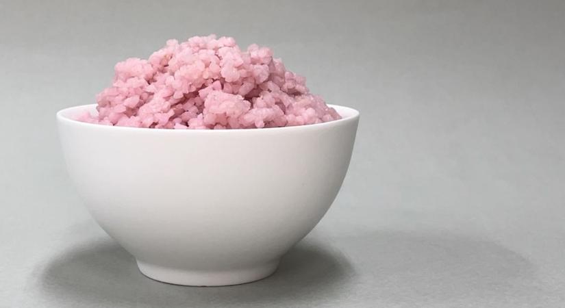A laboratóriumban termesztett marhahús-rizs hibrid lehet a jövő tápláléka