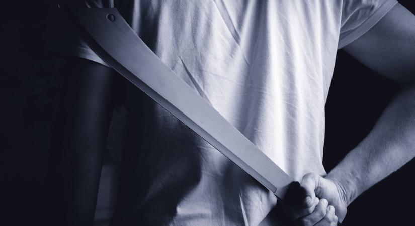Bozótvágó késsel akarta megölni a rendőröket egy iharosberényi férfi