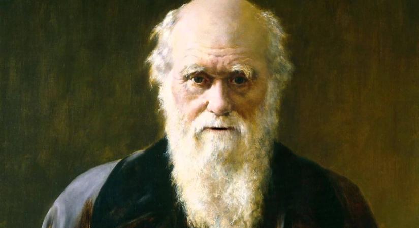Charles Darwin teljes könyvtárát rekonstruálták