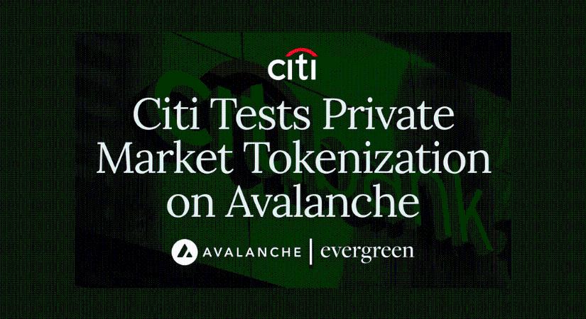 Magánvagyon tokenizálását teszteli a Citigroup az Avalanche hálózatán