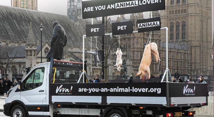 Fellógatott halott állatokkal sokkolta a londoniakat egy vegán szervezet