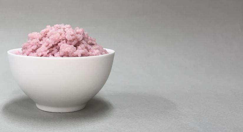 Olcsó és fenntartható fehérjeforrást fejlesztettek rizsből és marhahús-őssejtekből