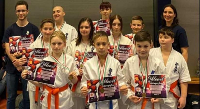Borza Dojo: tapasztalatszerzés érmekkel gyarapodva