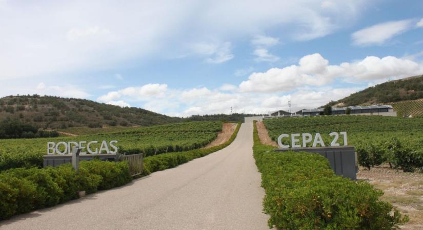 2,5 millió eurós kárt okozott egy spanyol borászatban egy szabotőr