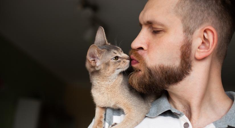 Macska vagy szerelem? Így vélekednek az állattartók