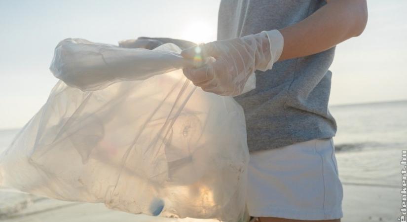 A világ műanyag krízise megoldható moszatokkal?